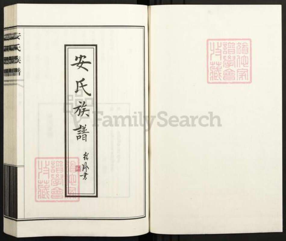 天津市武清区陈咀镇安氏族谱-安氏族谱.pdf电子版预览图1