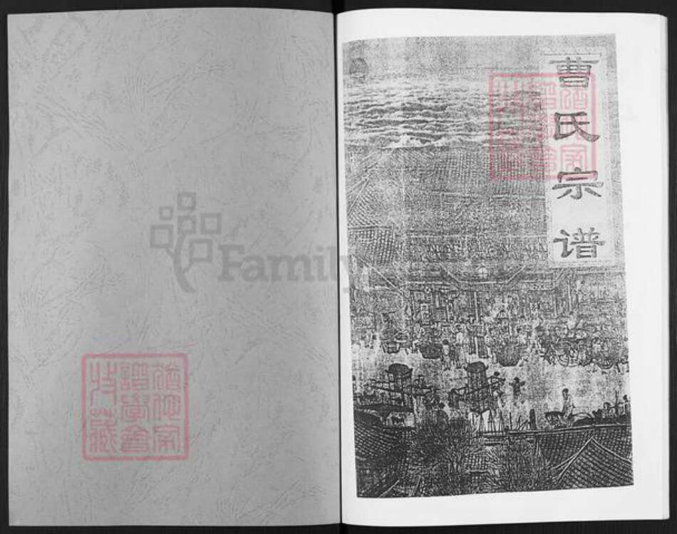 安徽省阜阳市阜南县新村镇曹氏族谱-曹氏宗谱.pdf电子版预览图1