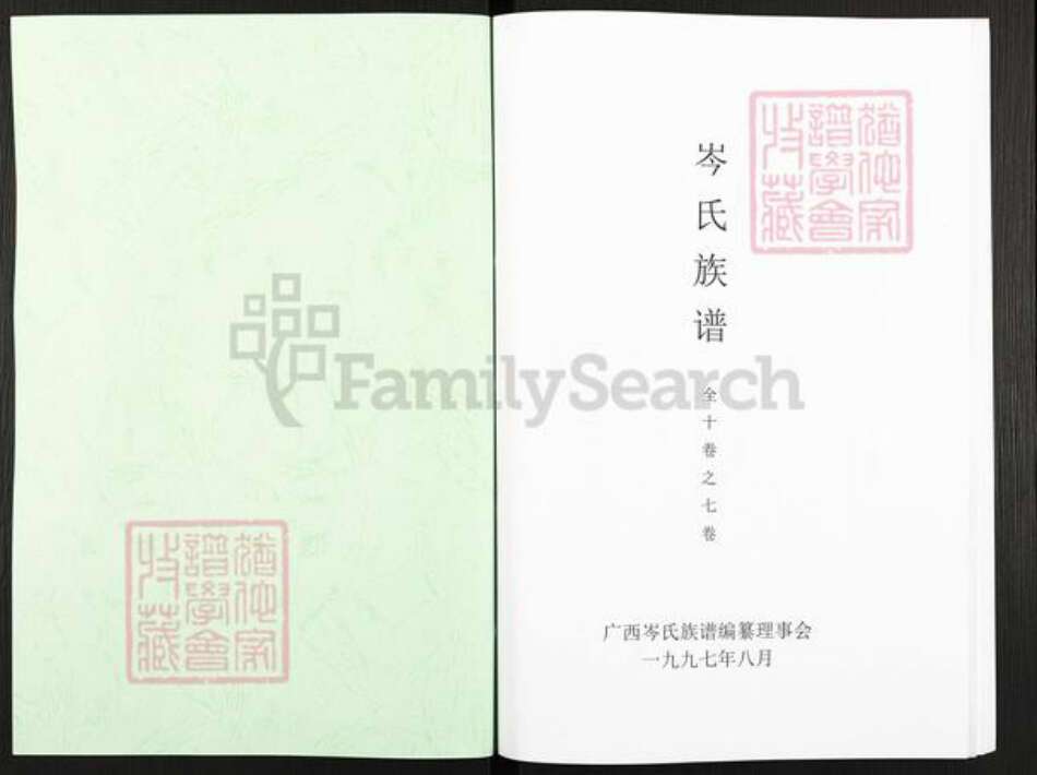 广西壮族自治区玉林平南大鹏镇岑氏族谱-岑氏族谱.pdf电子版预览图1