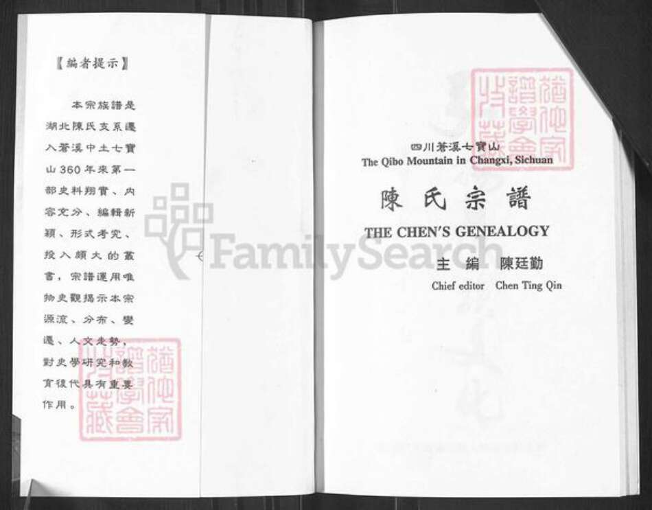 四川省广元市苍溪县八庙镇陈氏族谱-陈氏宗谱.pdf电子版预览图1