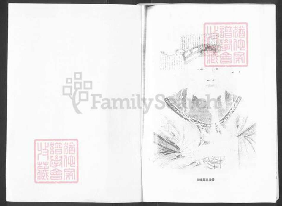 山东省烟台市栖霞市陈氏族谱-陈氏族谱.pdf电子版预览图1