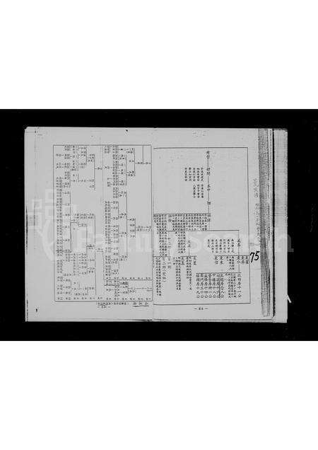福建吕氏族谱-吕氏族谱石溪房.pdf电子版预览图1