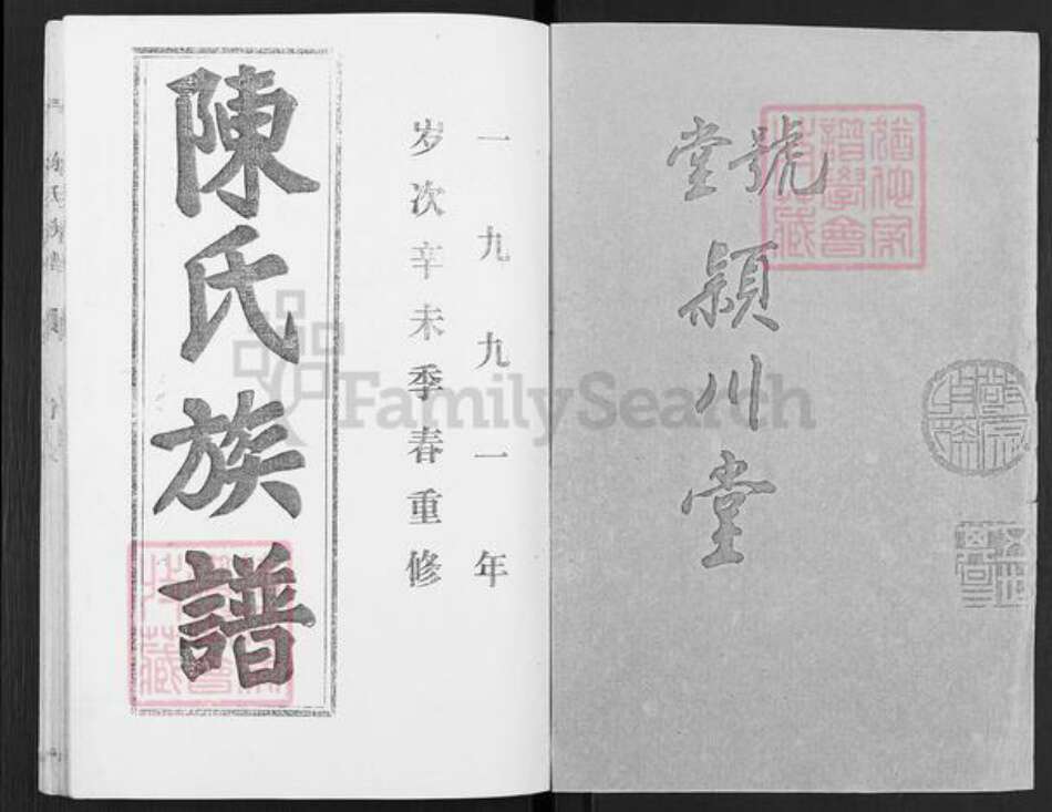 山东省济宁市微山县韩庄镇陈氏颖川堂族谱-陈氏族谱.pdf电子版预览图1