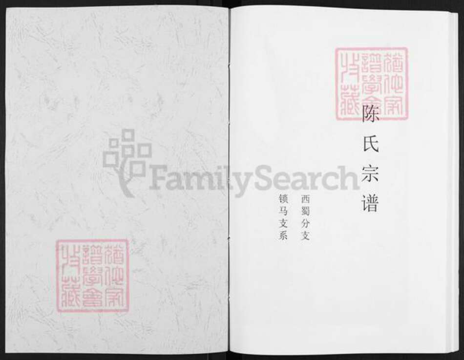 四川省泸州市叙永县分水镇陈氏族谱-陈氏宗谱.pdf电子版预览图1