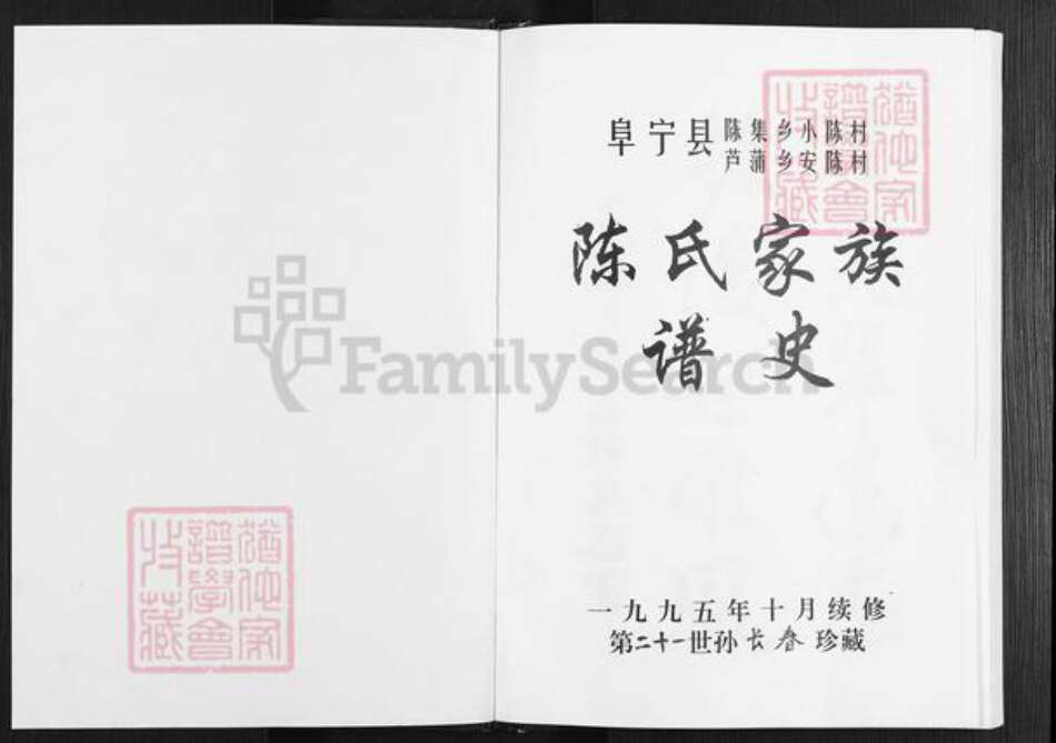 江苏省盐城市阜宁县陈集镇陈氏族谱-陈氏家谱.pdf电子版预览图1