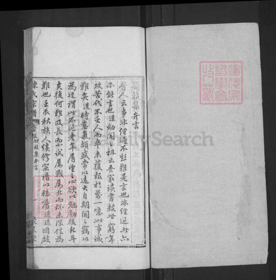 湖北省黄冈市陈氏聚星堂族谱-陈氏宗谱.pdf电子版预览图1