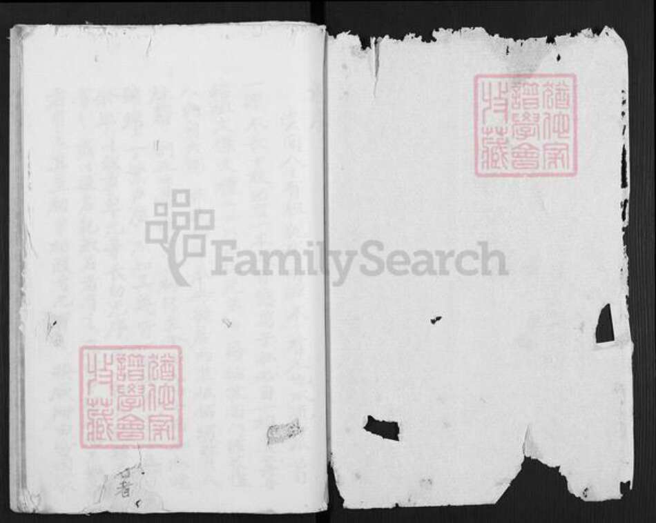 江苏省盐城市亭湖区伍佑街道陈氏族谱-陈门家谱.pdf电子版预览图1