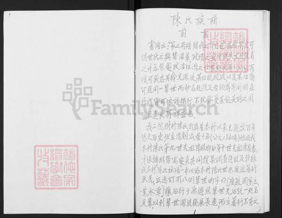 山东省滨州市邹平市好生街道陈氏族谱-陈氏族谱.pdf电子版预览图1