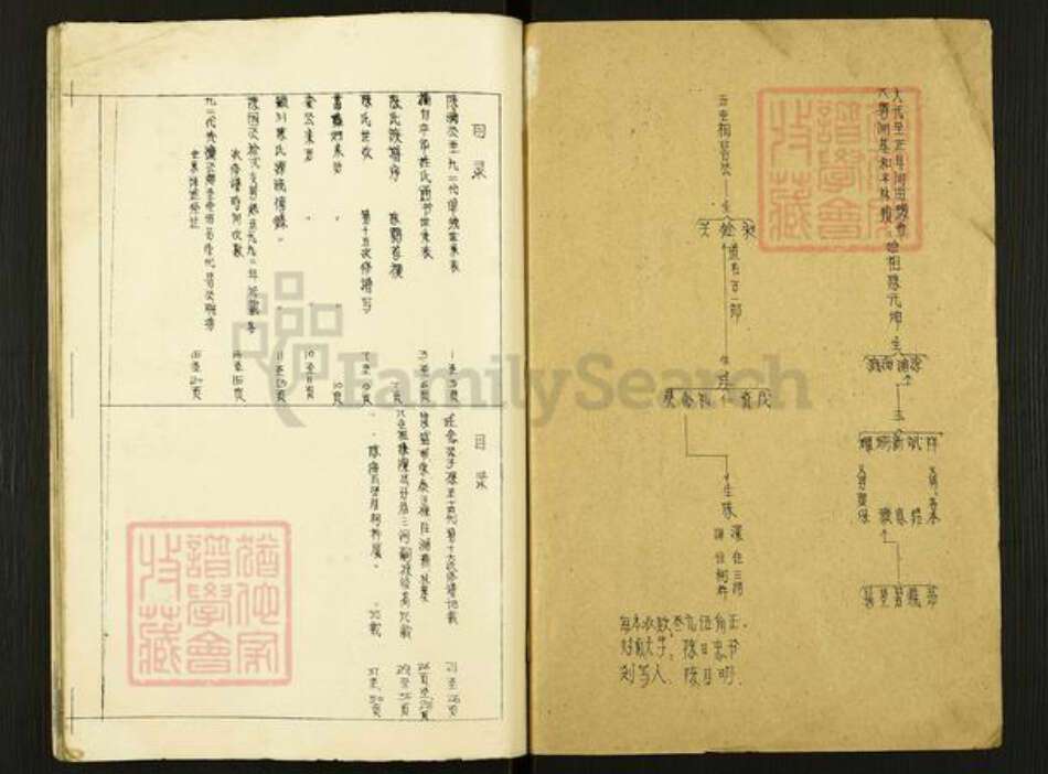 广东省河源市和平林寨镇陈氏族谱-廷念公裔祖谱.pdf电子版预览图1