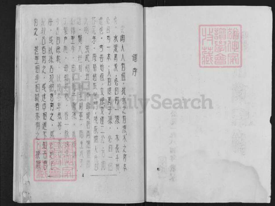 江苏省盐城市亭湖区陈氏颍川堂族谱-颍川堂家谱.pdf电子版预览图1