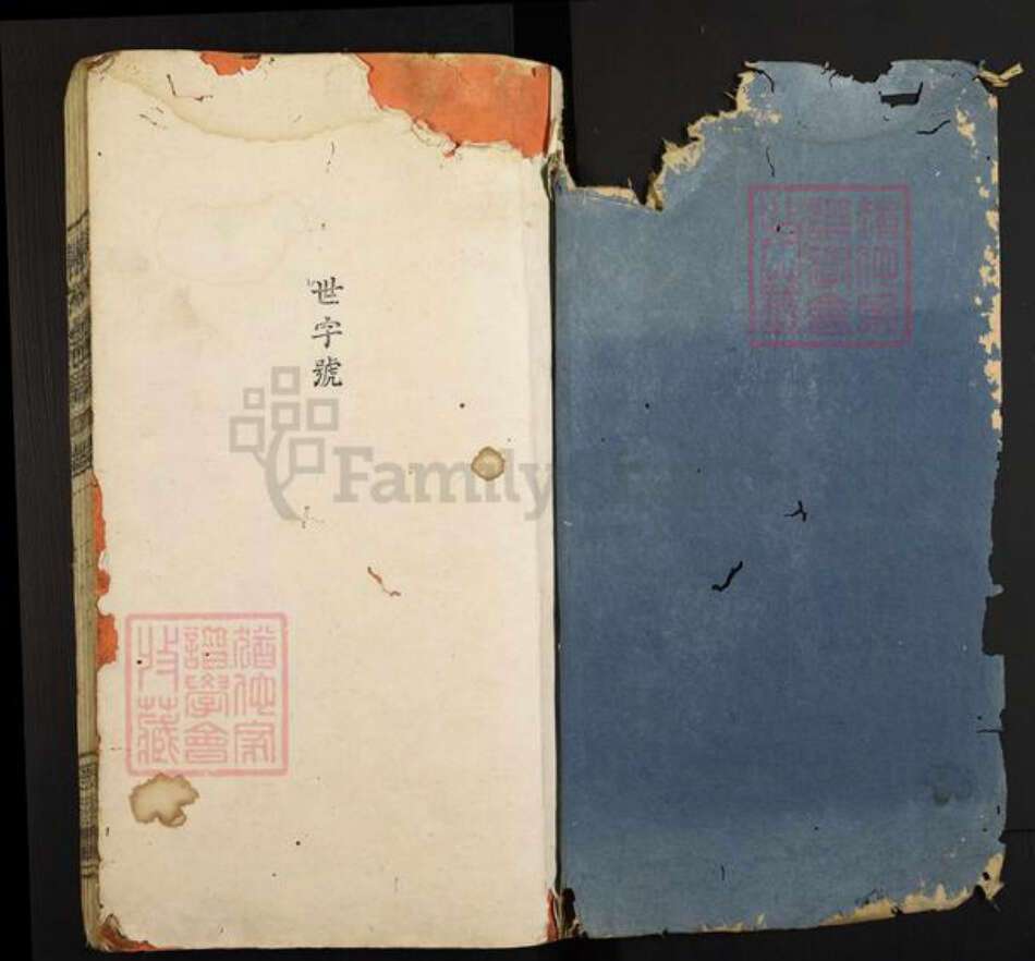 广东省梅州市兴宁市石马镇陈氏敦睦堂族谱-陈氏宗谱.pdf电子版预览图1