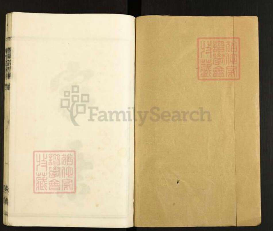 安徽省马鞍山市含山县陈氏义门堂族谱-环峰陈氏宗谱.pdf电子版预览图1