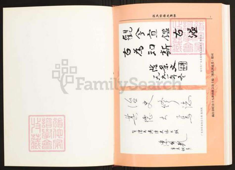 广东省陈氏族谱-广东省五华(长乐)县横陂颍川堂陈氏宗谱史料集.pdf电子版预览图1