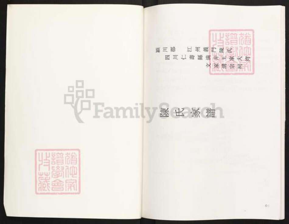 四川省眉山市眉山陈氏族谱-陈氏家谱.颍川郡江州义门陈氏四川仁寿县满井王家大湾.pdf电子版预览图1