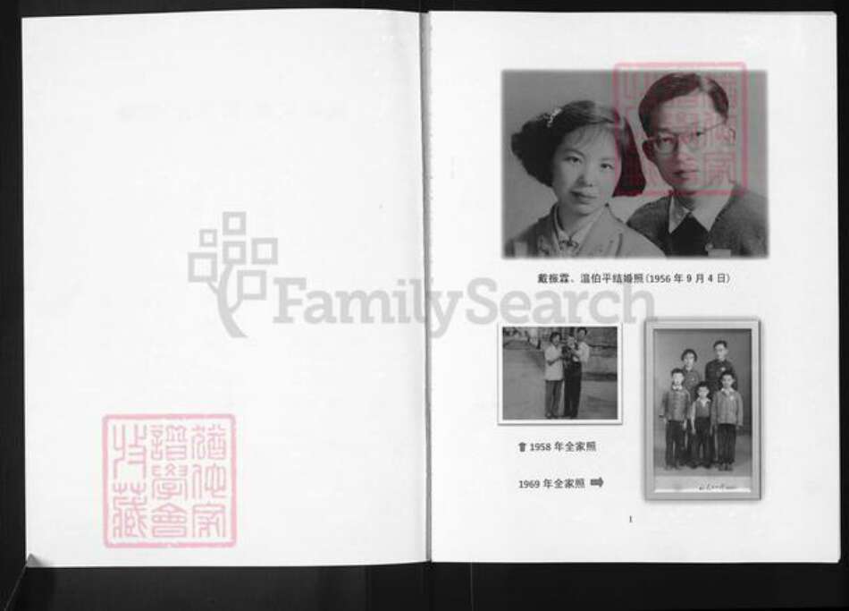 陕西省西安市戴氏族谱-戴氏家谱.西安支.pdf电子版预览图1