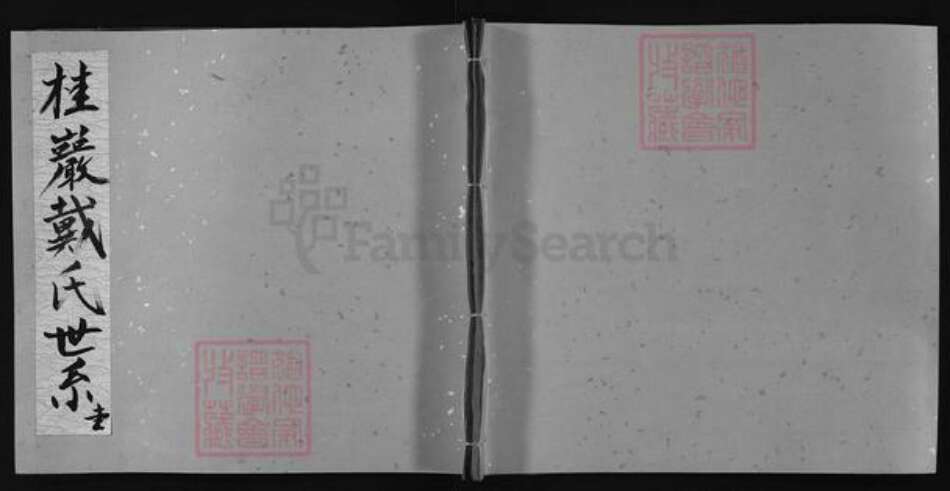 江西省上饶市戴氏族谱-桂岩戴氏世系 [不分卷].pdf电子版预览图1