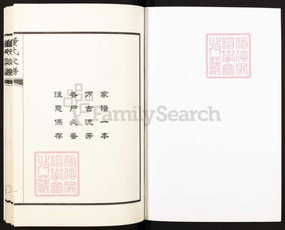 山东省淄博市张店区南定镇董氏族谱-董氏家谱.pdf电子版预览图1