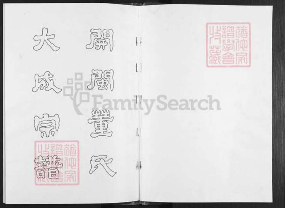 福建省厦门市翔安区新店镇董氏族谱-董氏董水宗谱.pdf电子版预览图1