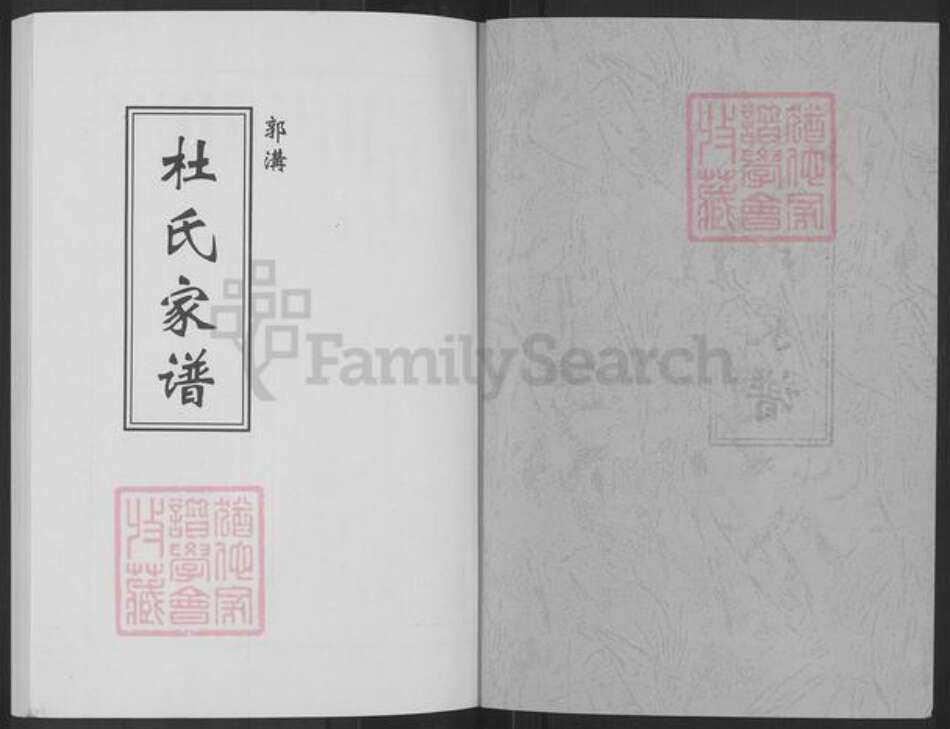 河南省郑州市登封市石道乡杜氏族谱-杜氏家谱.pdf电子版预览图1