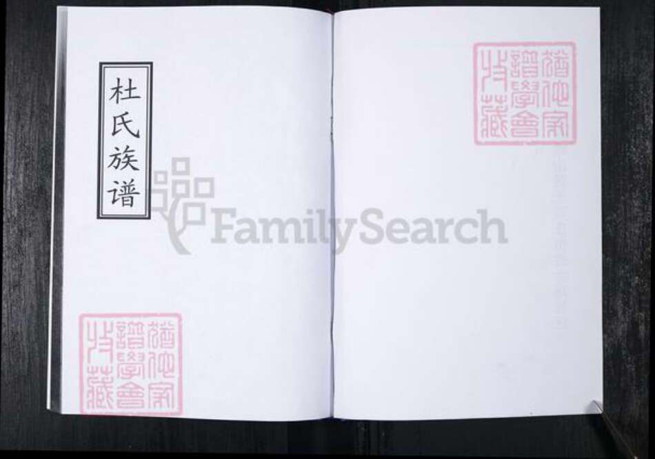 山东省青岛市崂山区杜氏族谱-会场社区杜氏族谱.pdf电子版预览图1