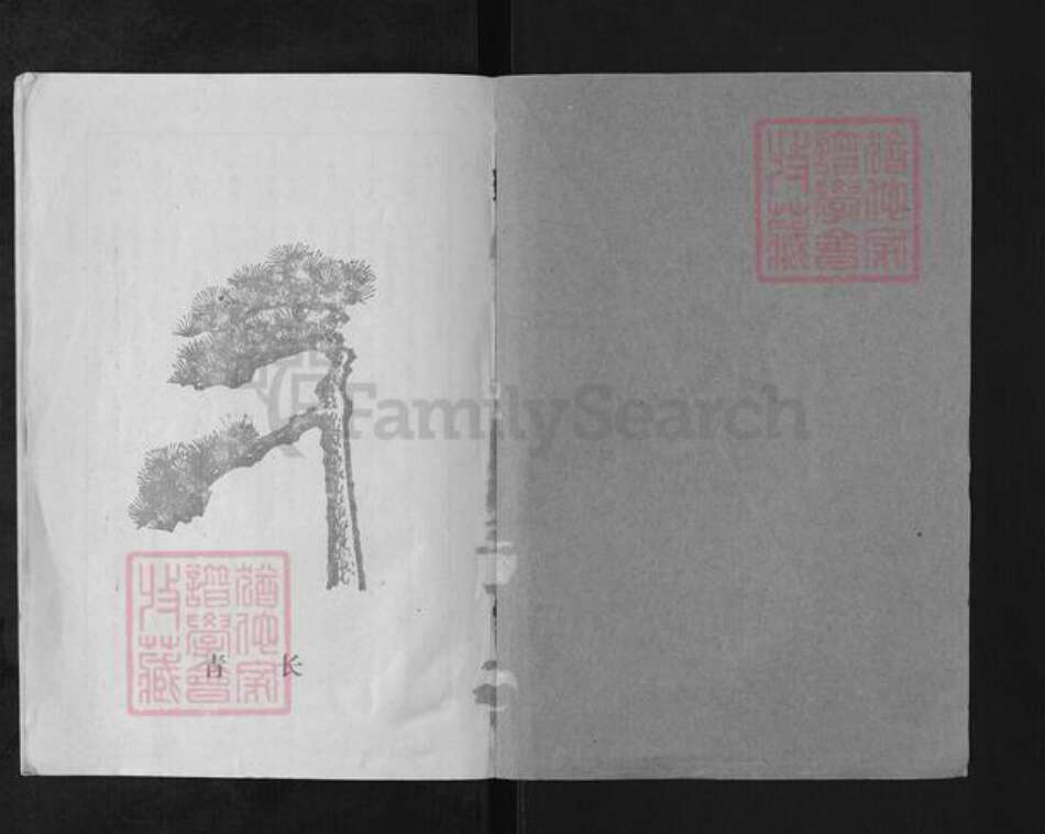 江苏省宿迁市泗阳县房氏思本堂族谱-房氏族谱.pdf电子版预览图1