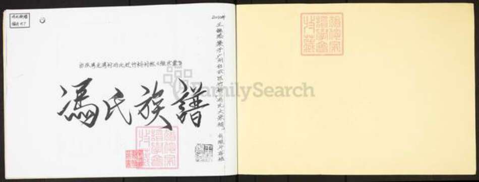 广东省广州市白云区冯氏维世堂族谱-冯氏族谱.pdf电子版预览图1