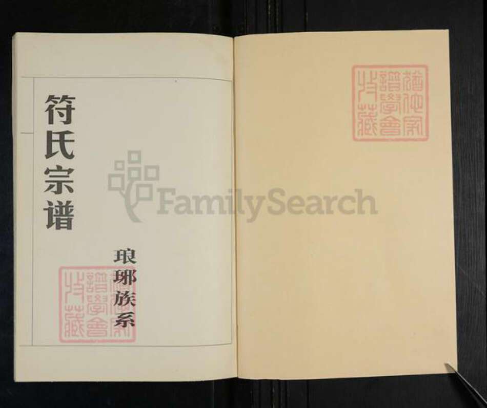 山东省临沂市兰山区符氏族谱-符氏宗谱.琅琊族系.pdf电子版预览图1