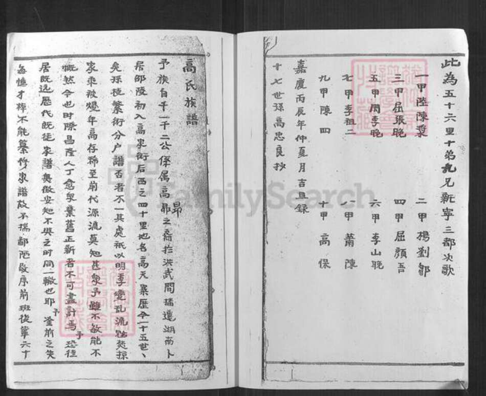 湖南省邵阳市高氏族谱-高氏族谱.pdf电子版预览图1