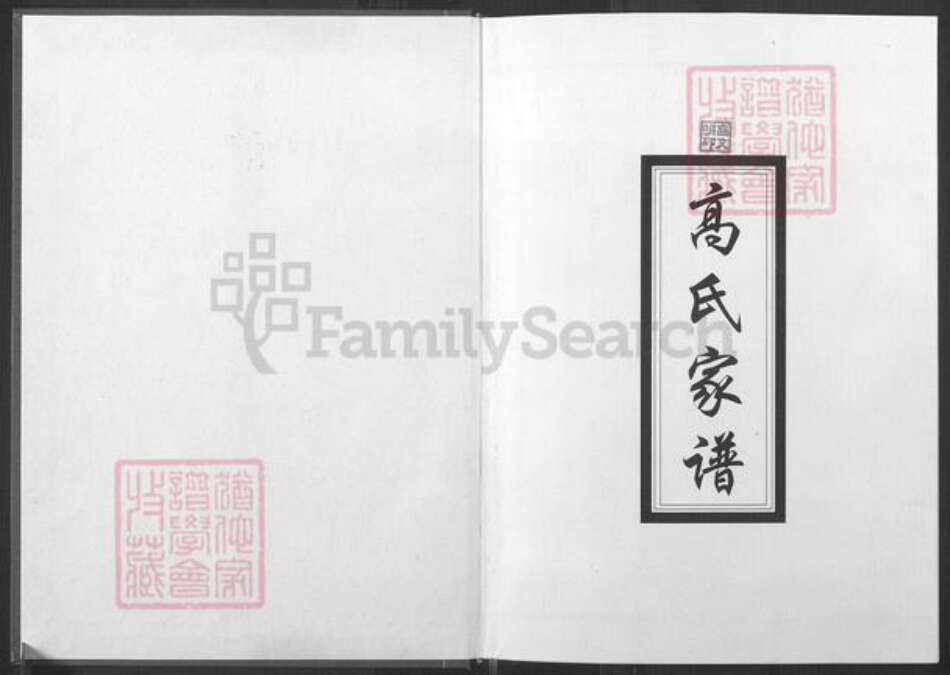 山西省太原市小店区高氏福寿堂族谱-太原高氏家谱.pdf电子版预览图1