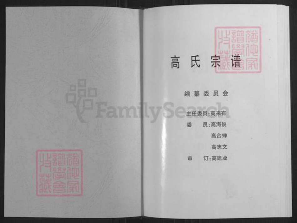 山西省忻州市定襄县神山乡高氏族谱-高氏宗谱.pdf电子版预览图1