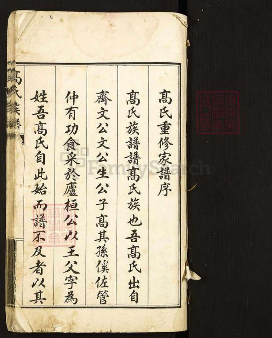 河北省沧州东光县高氏族谱-高氏族谱.pdf电子版预览图1