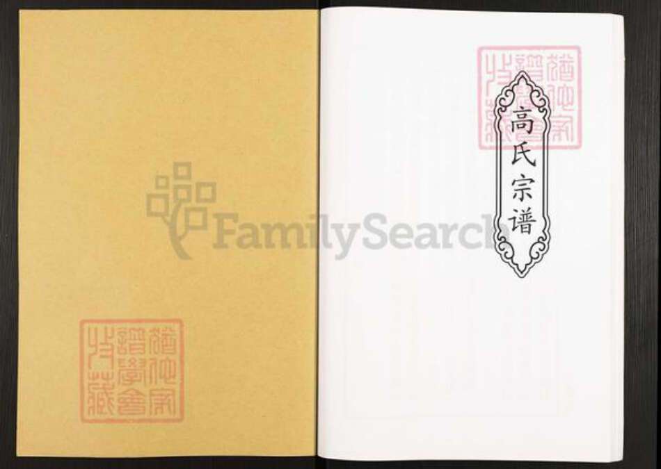 湖北省荆州市洪湖市高氏渤海堂族谱-高氏宗谱.pdf电子版预览图1