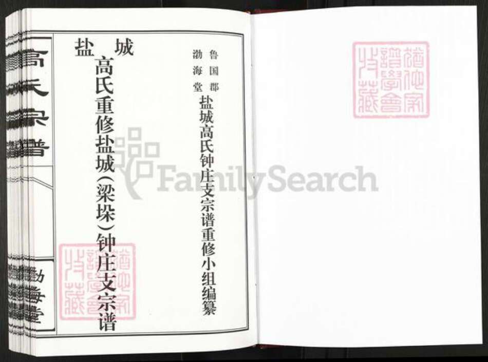 江苏省盐城市建湖县钟庄街道高氏渤海堂族谱-盐城高氏重修盐城(梁垛) 钟庄支宗谱.pdf电子版预览图1