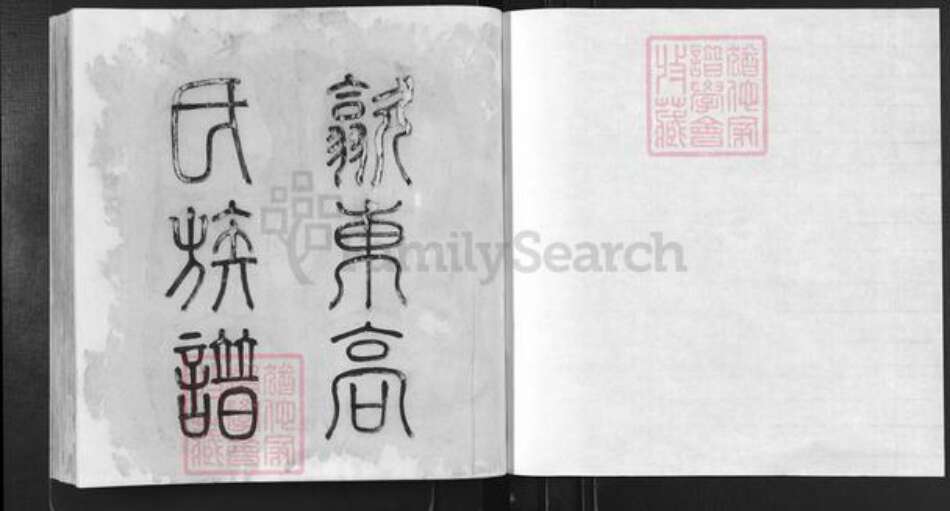 安徽省宣城市绩溪县高氏敦序堂族谱-歙东高氏族谱.pdf电子版预览图1