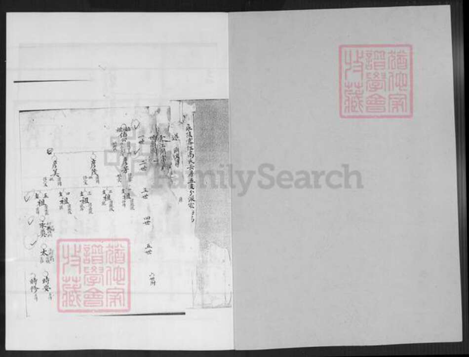 福建省泉州市石狮市永宁镇高氏族谱-武和高氏长房五支时笃派.pdf电子版预览图1