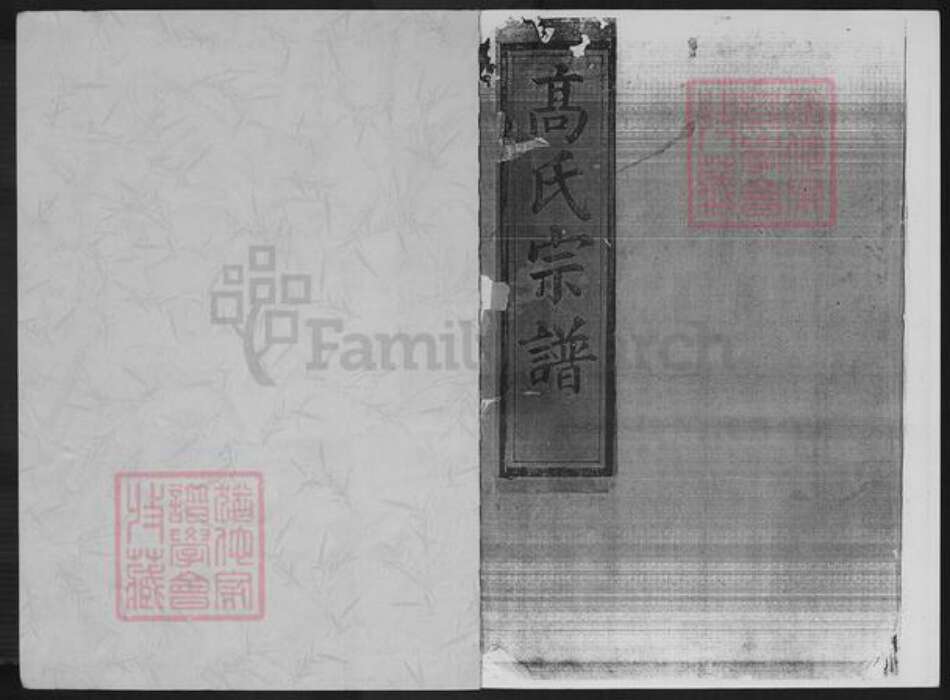 福建省宁德市福鼎市桐山街道高氏族谱-桐山高氏宗谱.pdf电子版预览图1