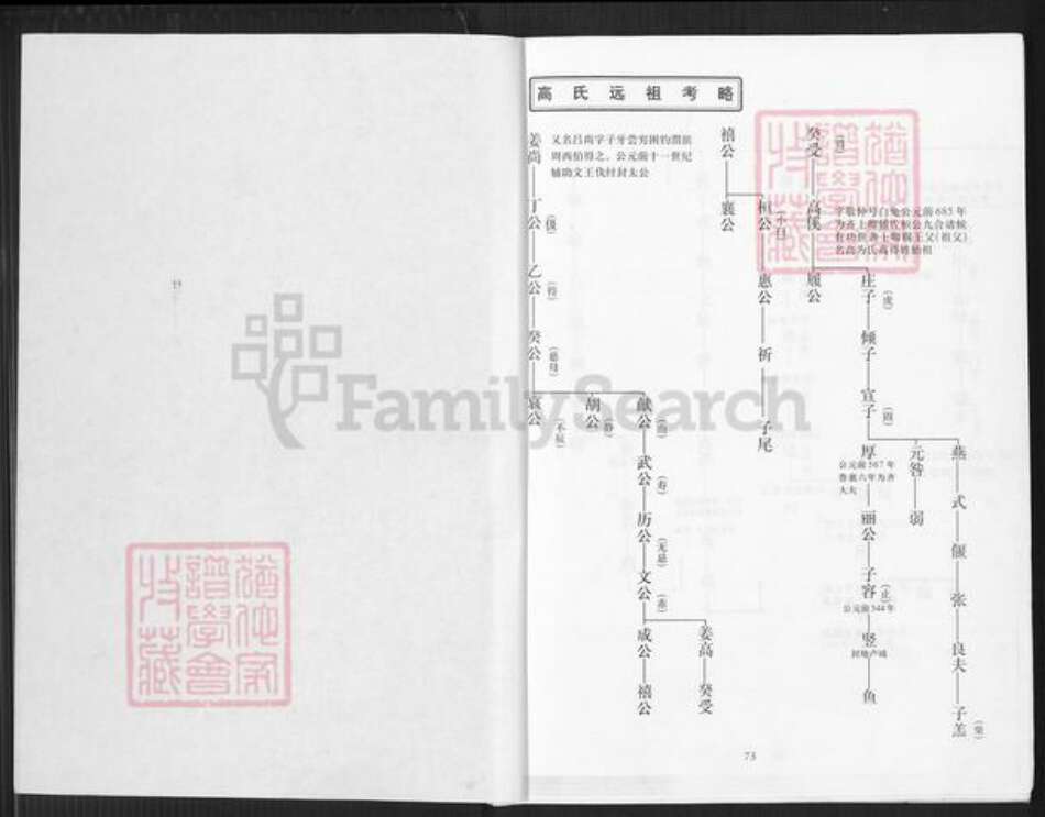 福建省泉州市晋江市安海镇高氏族谱-渤海霁江高氏溯源世系谱.pdf电子版预览图1