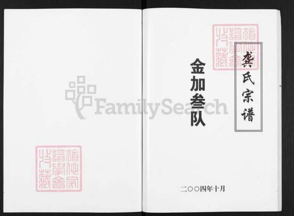 广西壮族自治区桂林市灵川县灵川龚氏族谱-龚氏宗谱.金加叁队.pdf电子版预览图1