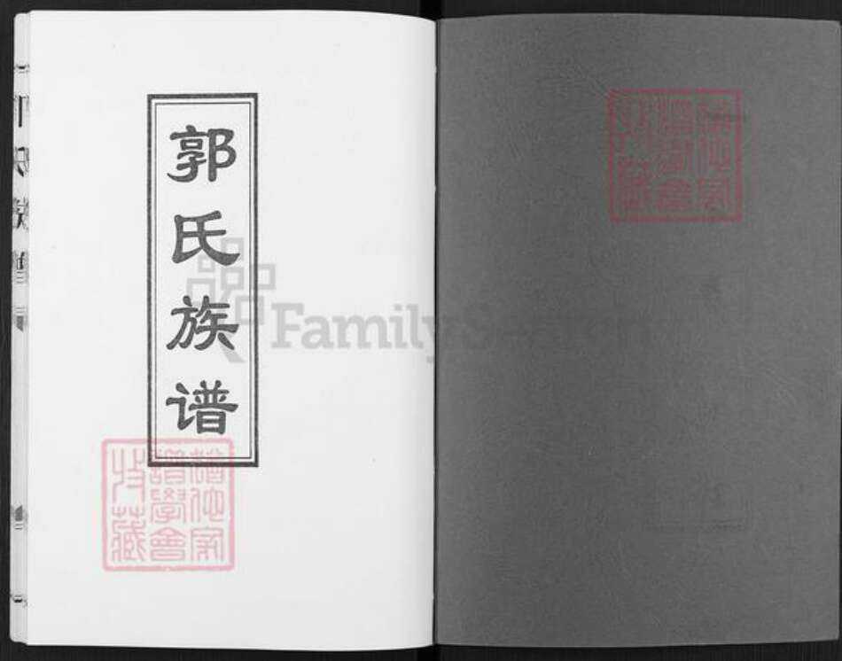 山东省枣庄市薛城区郭氏族谱-中华郭氏族谱.pdf电子版预览图1