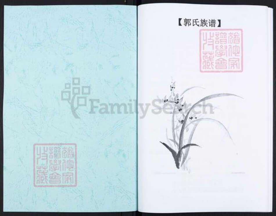 河南省新乡市获嘉县位庄乡郭氏族谱-郭氏族谱.pdf电子版预览图1