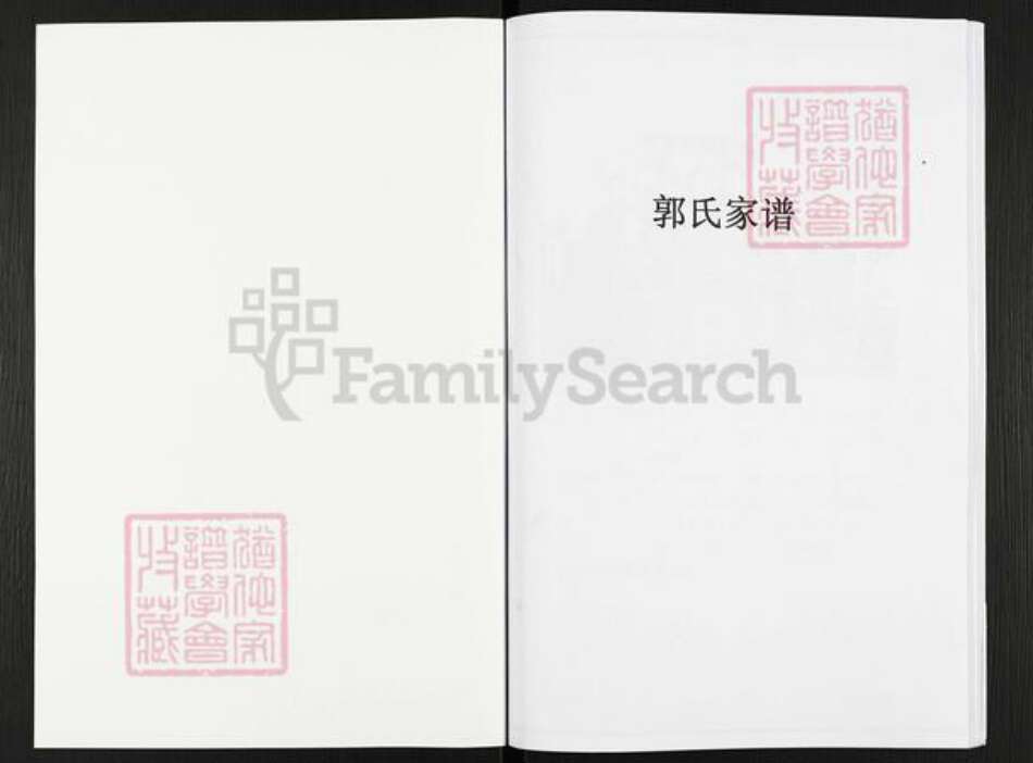 河南省焦作市沁阳市王曲乡郭氏族谱-郭氏家谱.pdf电子版预览图1