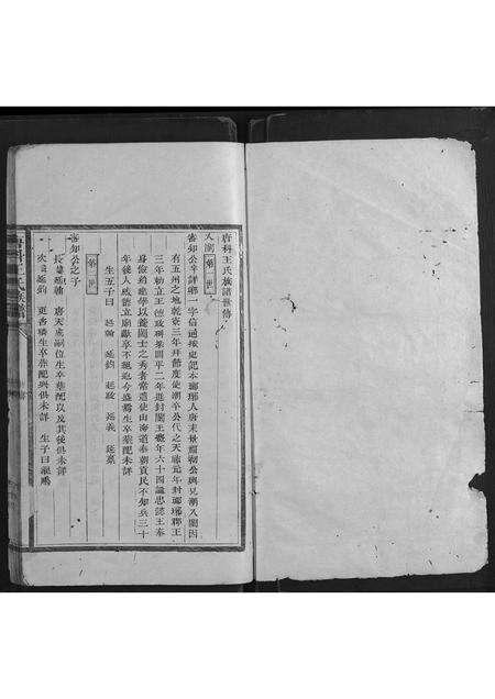 福建王氏族谱-唐科王氏族谱.pdf电子版预览图1