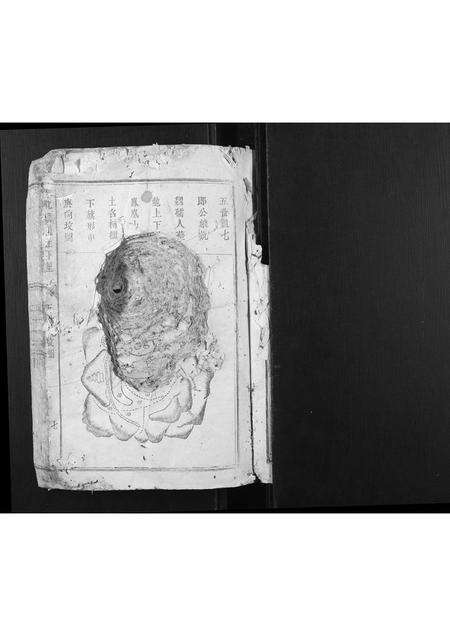 福建王氏族谱-大王坊王氏族谱.pdf电子版预览图1