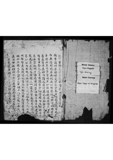 福建王氏族谱-太原王氏宗谱.pdf电子版预览图1