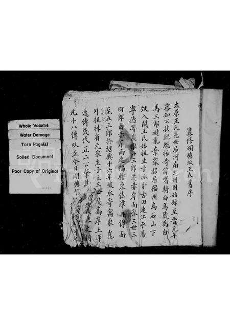 福建王氏族谱-湖塘坂溪王氏族谱.pdf电子版预览图1