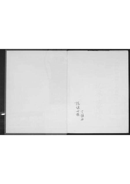 福建丁氏族谱-[丁氏](王己)派家谱.pdf电子版预览图1