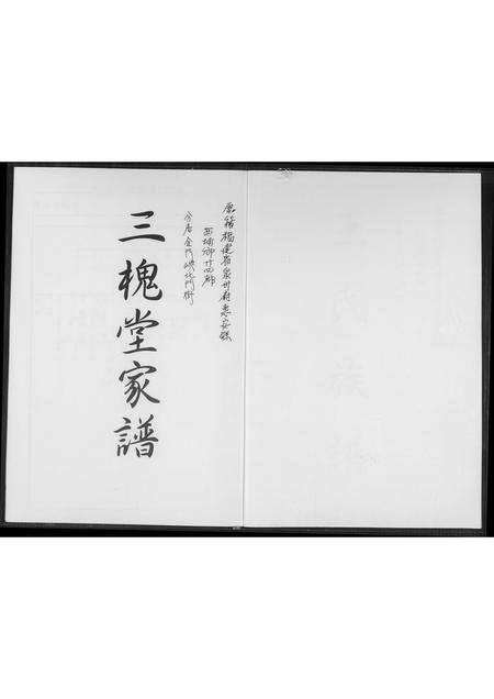 福建王氏族谱-[王氏]三槐堂家谱.pdf电子版预览图1