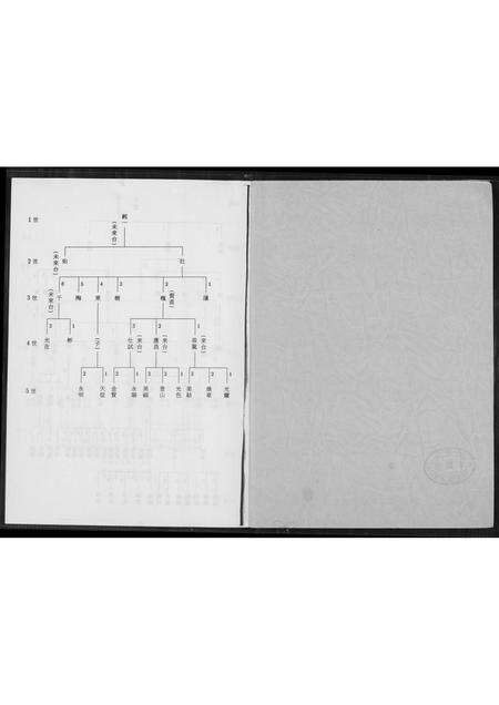 福建王氏族谱-[王氏]太原族谱.pdf电子版预览图1