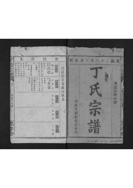 福建丁氏族谱-丁氏宗谱.pdf电子版预览图1