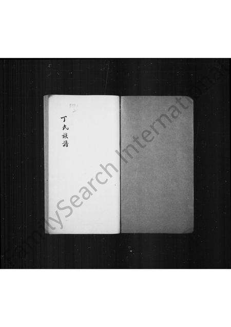 福建丁氏族谱-丁氏族谱.pdf电子版预览图1